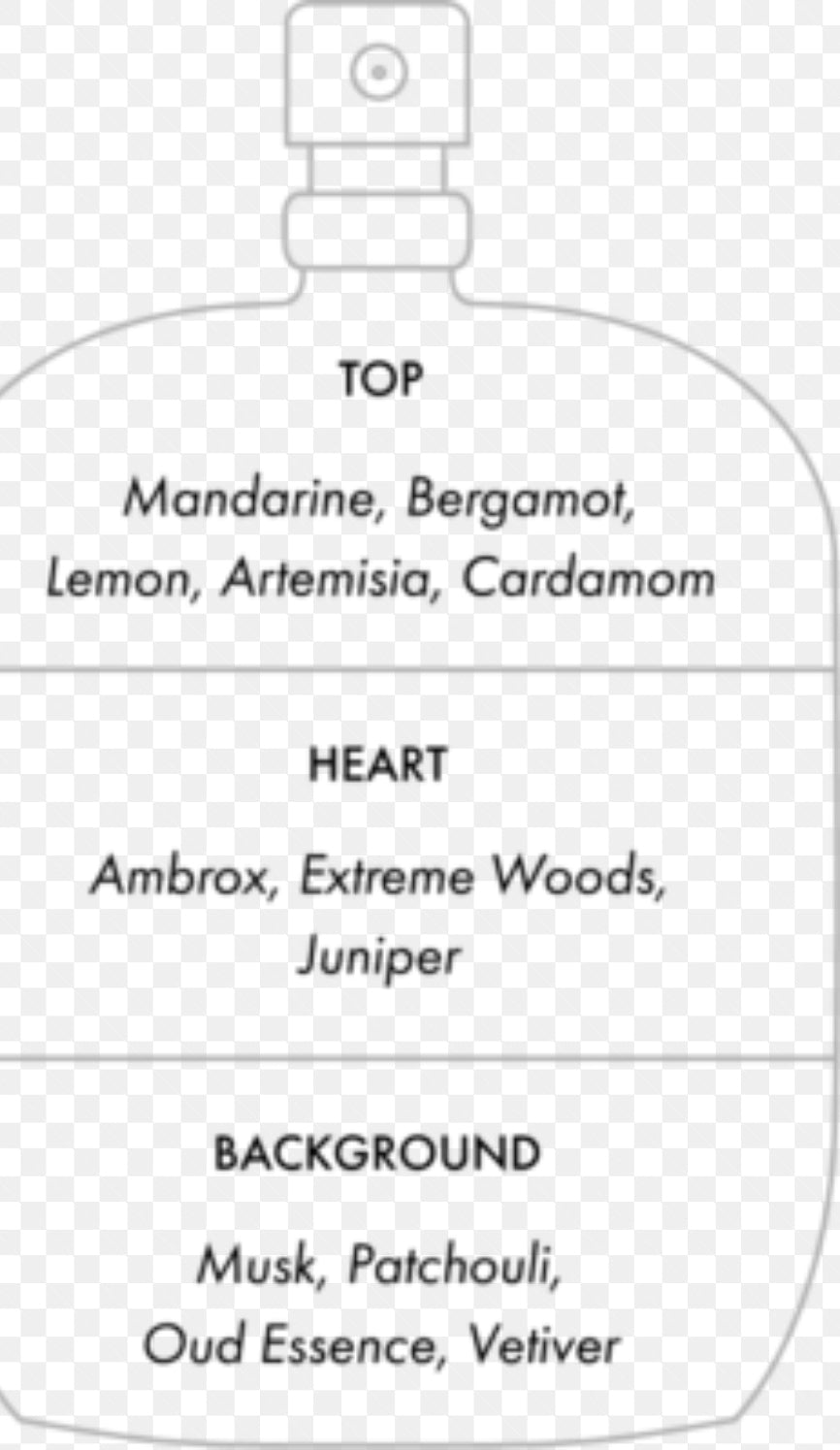 Date for men Jeremy Fragrance