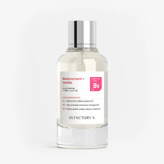 OLFACTORY X Blackcurrant + Vanilla EDP 3.4oz