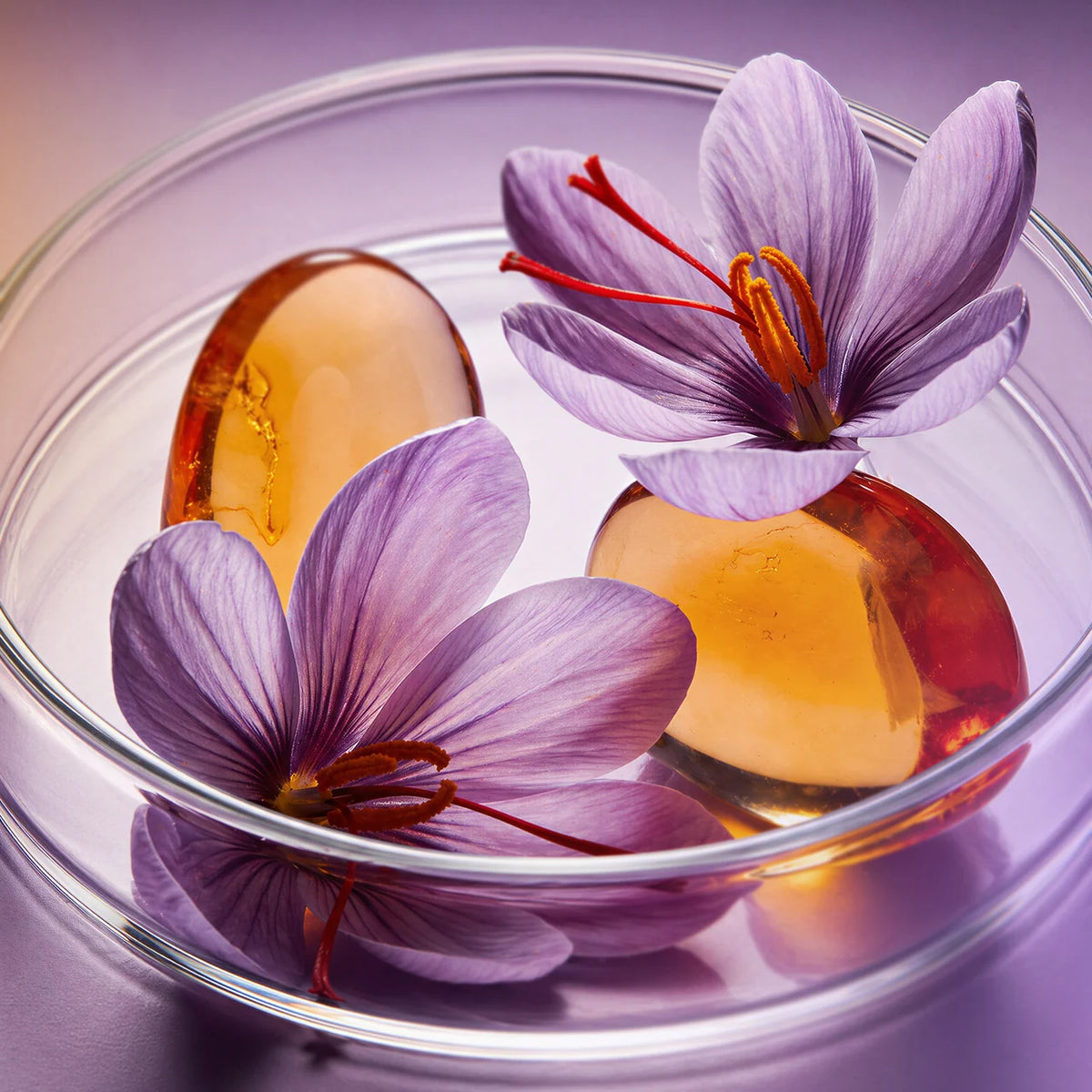 OLFACTORY X Saffron + Amber EDP 3.4oz