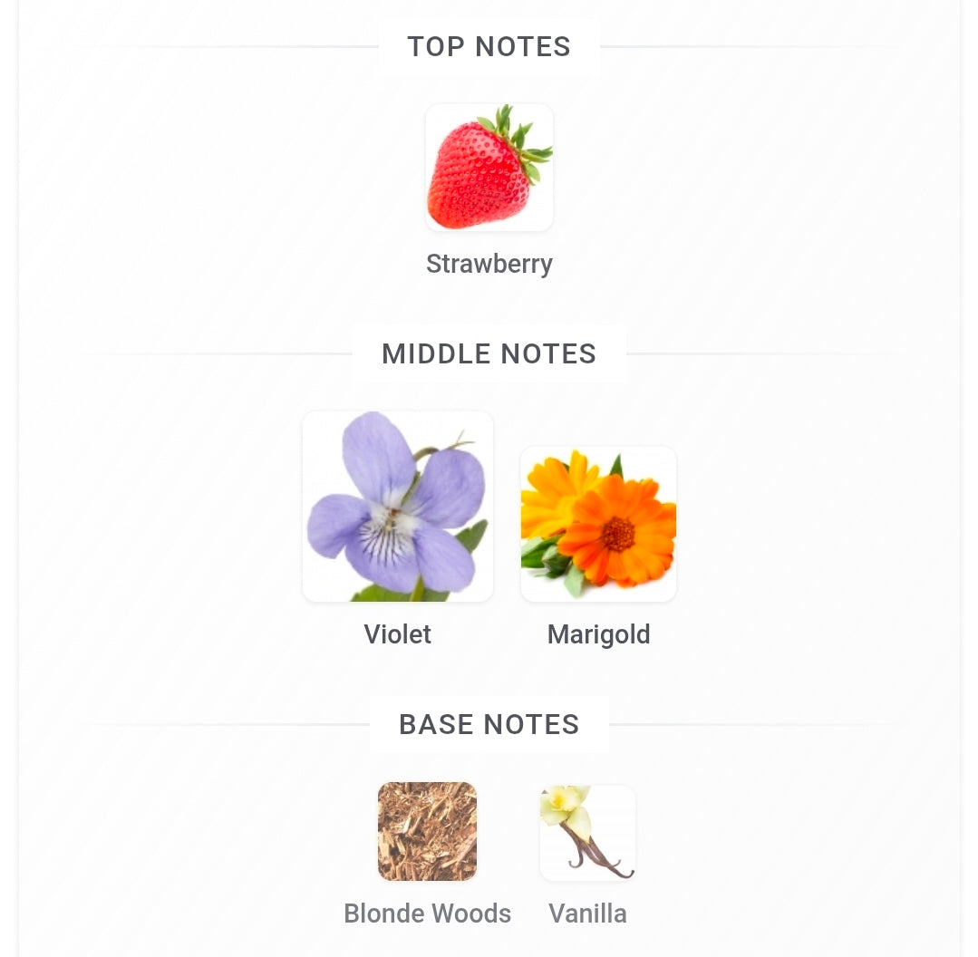 Diagram of top, middle, and base notes with strawberry, violet, marigold, blonde woods, and vanilla labels.
