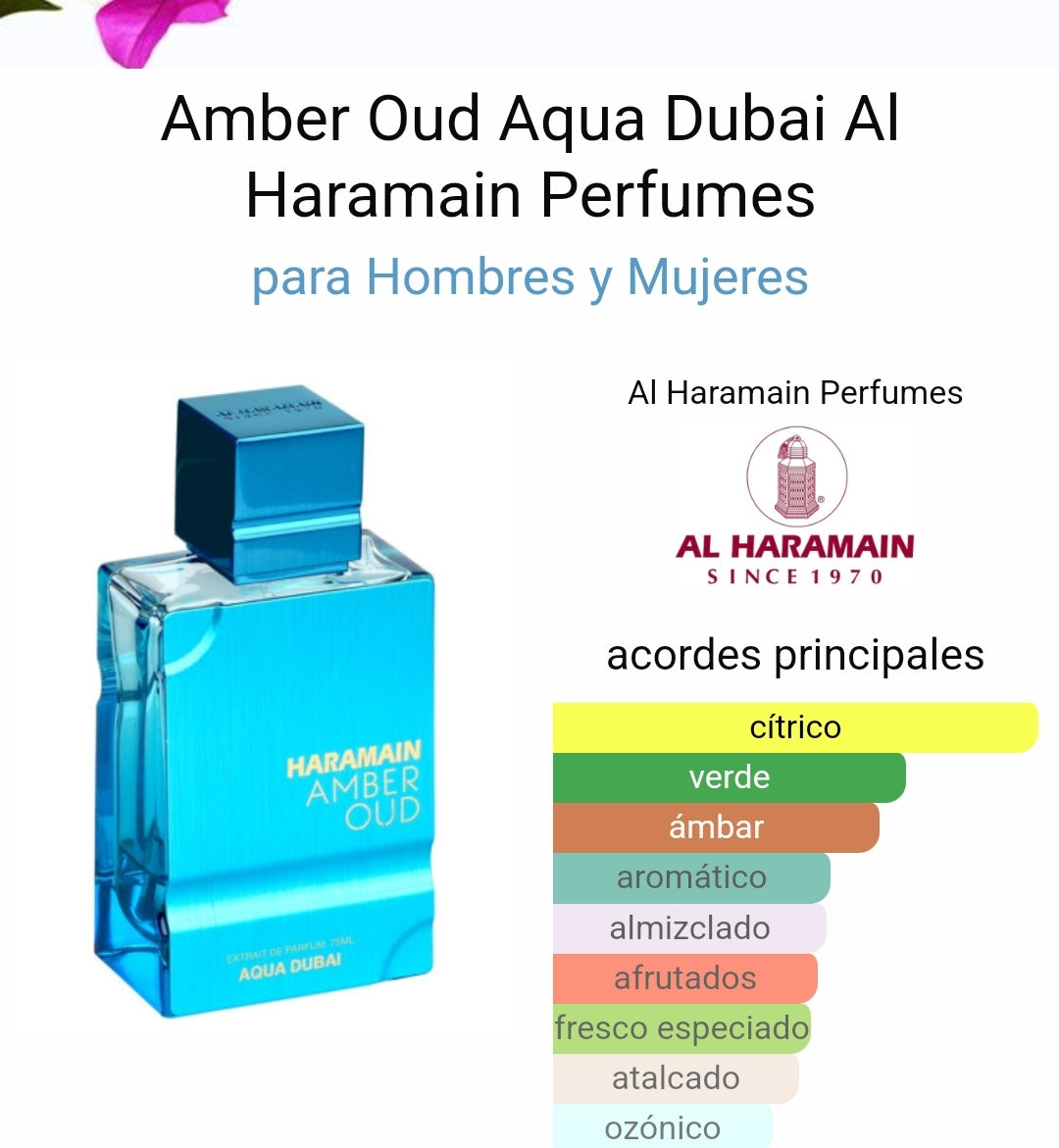 Amber Oud Aqua Dubai de Al Haramain extrait parfum 75mL &ndash; Quimica de  Perfumes