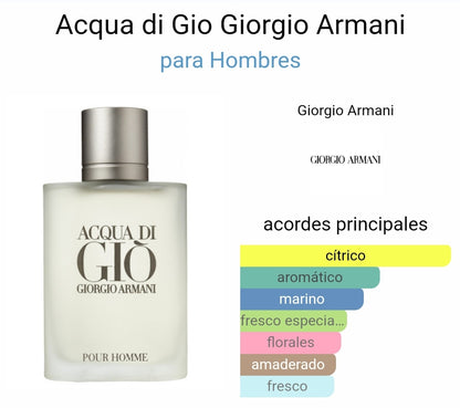 Acqua di Gio de Giorgio Armani 3.4oz edt