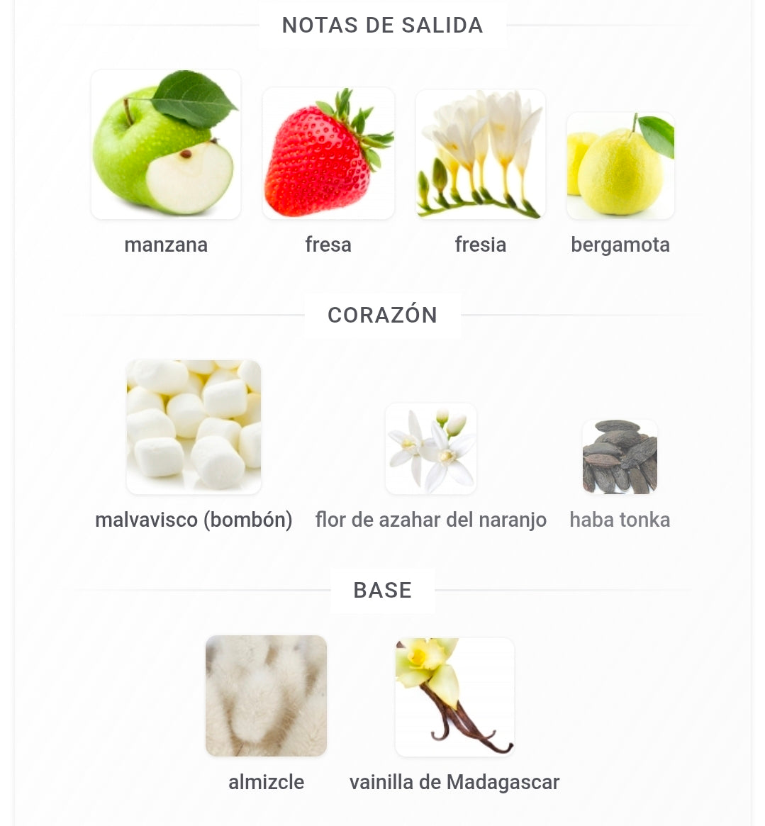 Versace Pour Femme Dylan Blush Pink 3.3oz