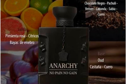 No Pain No Gain by Anarchy 3.4oz